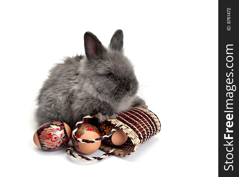 Easter bunny with colored eggs and basket. Easter bunny with colored eggs and basket