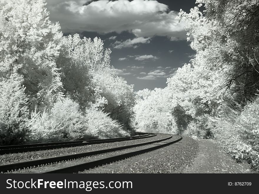 Infrared Railroad Tracks And Trees