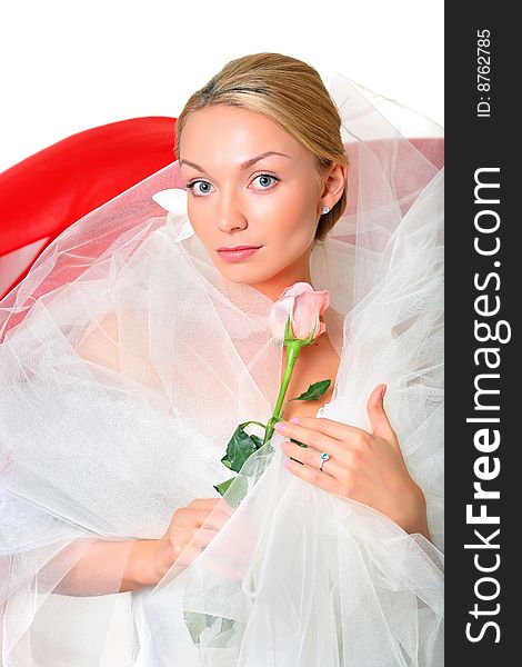 Beautiful young blonde in a veil and roses in hands, isolated on a white background, please see other photos of this series. Beautiful young blonde in a veil and roses in hands, isolated on a white background, please see other photos of this series