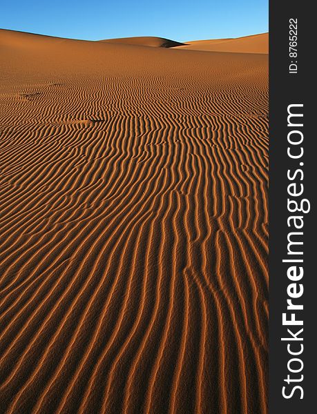 Morning light on the dune surface. Morocco.