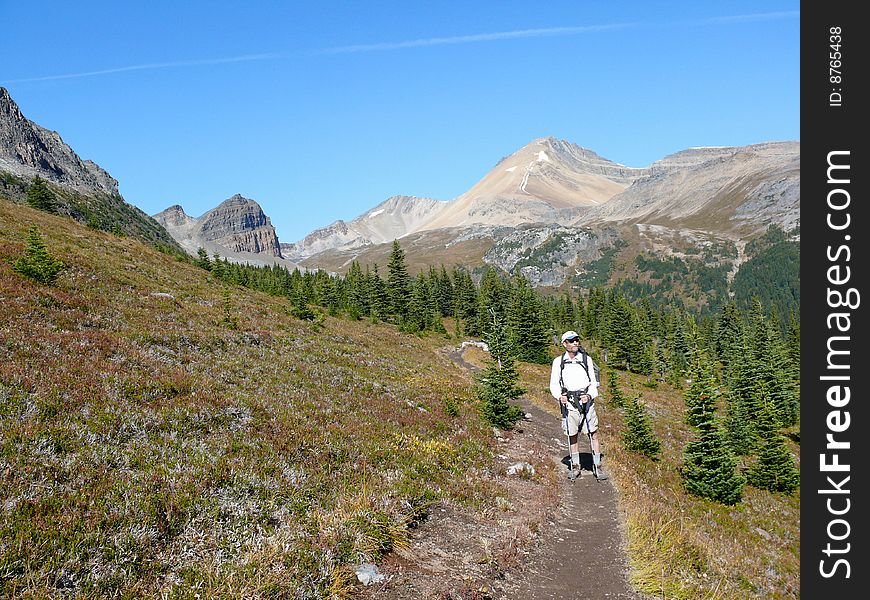 Hiker in the Canadian Rockies on the way to Helen Lake. Hiker in the Canadian Rockies on the way to Helen Lake