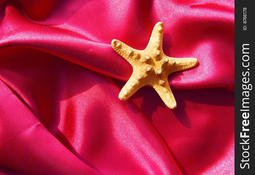 A starfish lies on brightly pink silk fabric. Wonderful decoration. A starfish lies on brightly pink silk fabric. Wonderful decoration.