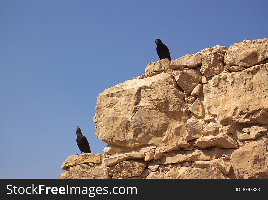 Two black birds on stone wall, blue sky