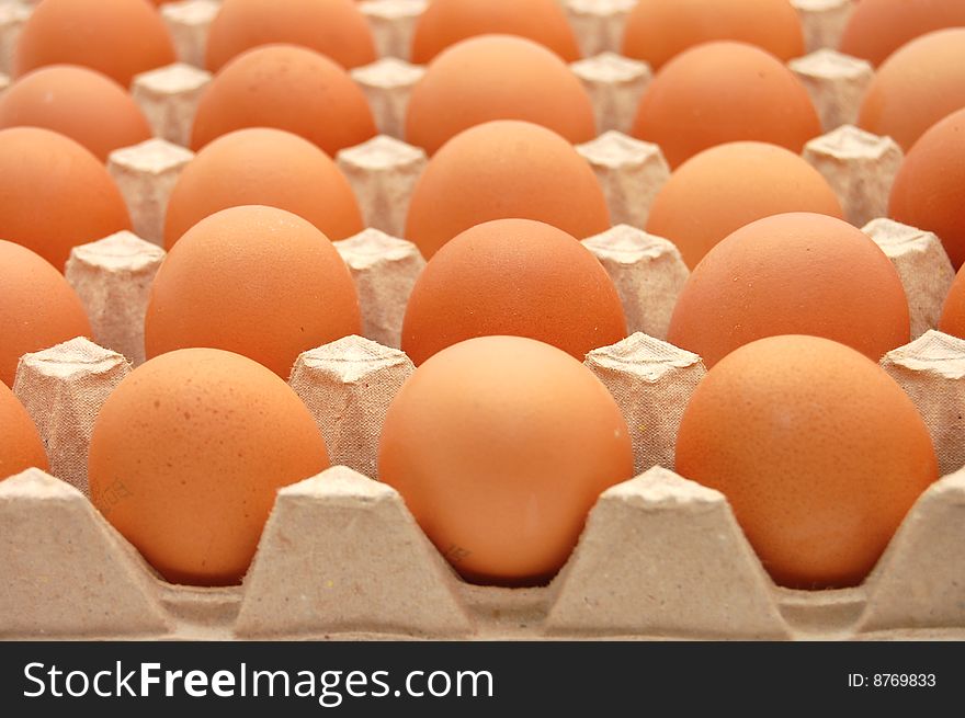 Kind on a lattice with eggs. Kind on a lattice with eggs