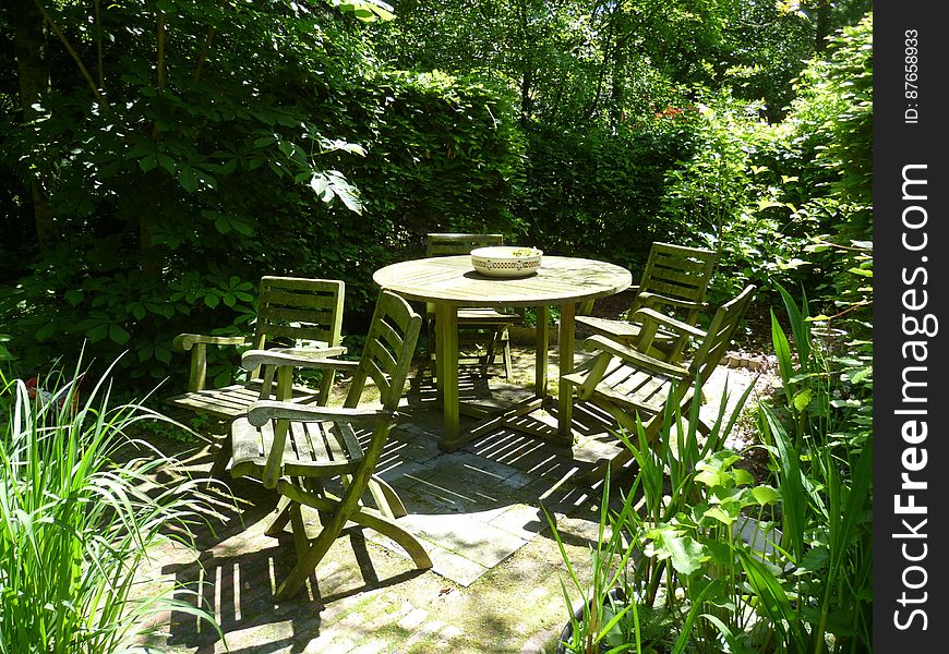 Plant, Plant community, Outdoor table, Outdoor furniture, Natural landscape, Terrestrial plant