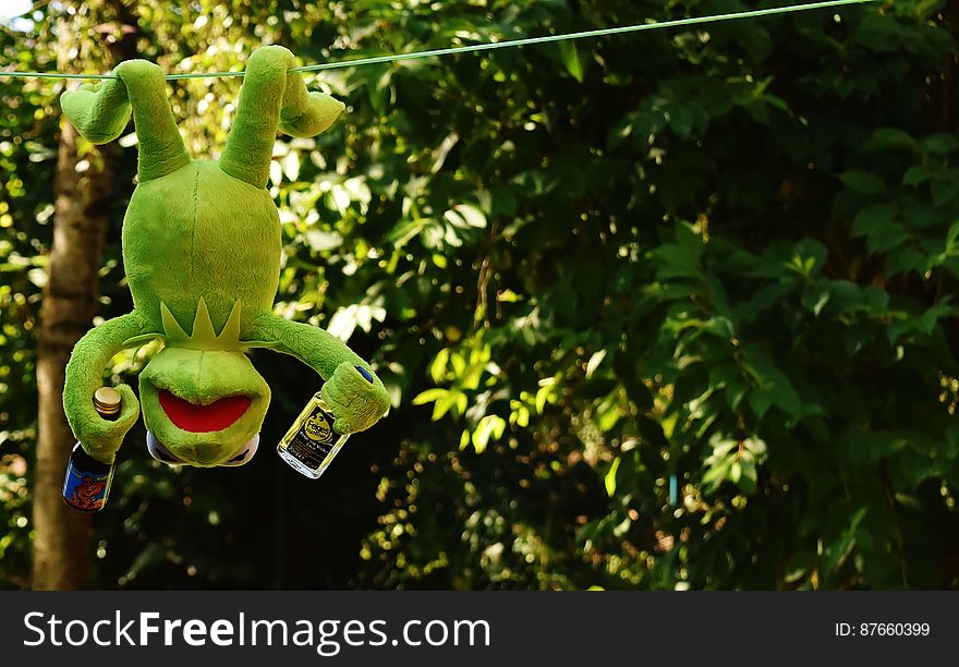 Kermit the Frog Hang on the Wire
