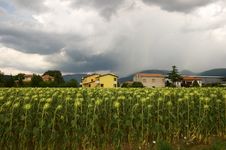 Storm Royalty Free Stock Photo Storm Royalty Free Stock Photo