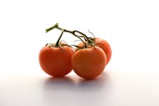 Vine Ripe Tomatoes Royalty Free Stock Photography Vine Ripe Tomatoes Royalty Free Stock Photography