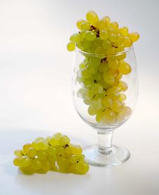 Grapes With Wine Glass Stock Photo Grapes With Wine Glass Stock Photo