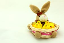 Bunny Basket Royalty Free Stock Images