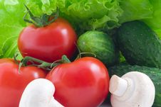 Vegetables Royalty Free Stock Photos Vegetables Royalty Free Stock Photos