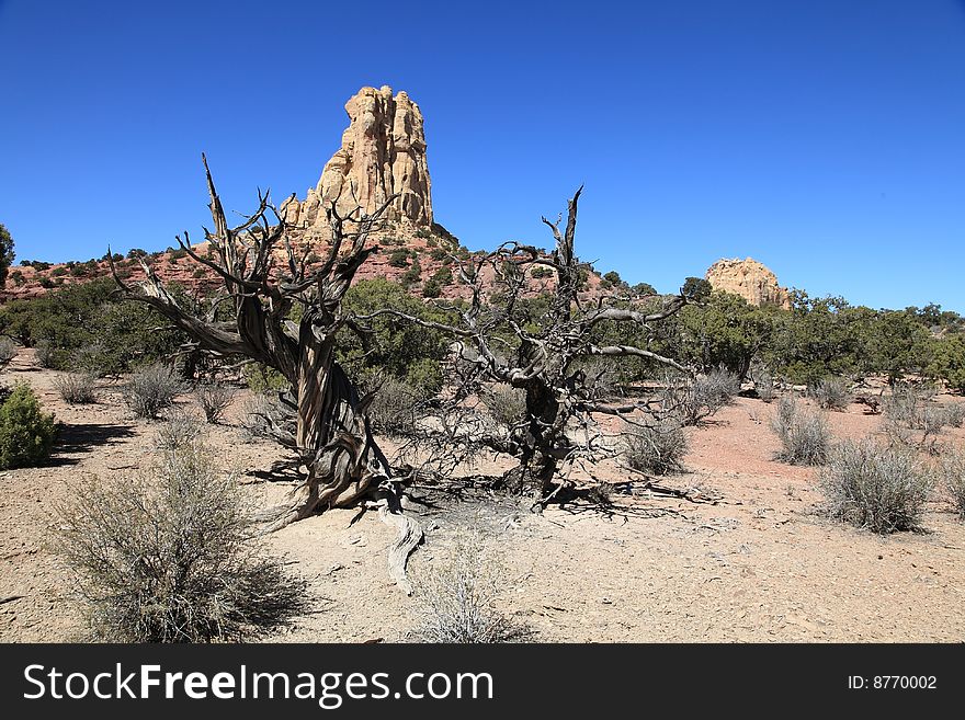 View of red rock formations in San Rafael Swell with blue skyï¿½s