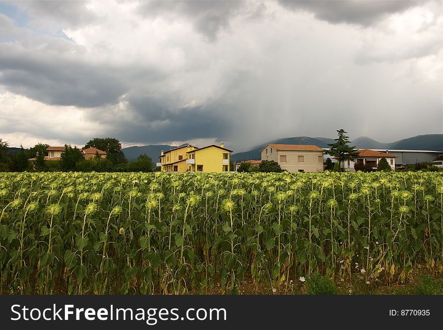 Storm in the city, umbria