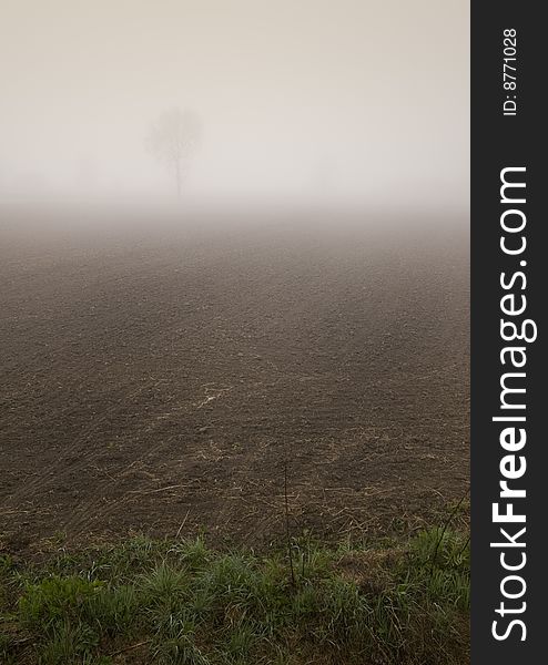 Foggy morning and non-urban scene in southern Poland