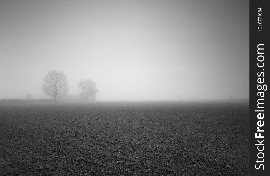 Foggy morning and non-urban scene in southern Poland