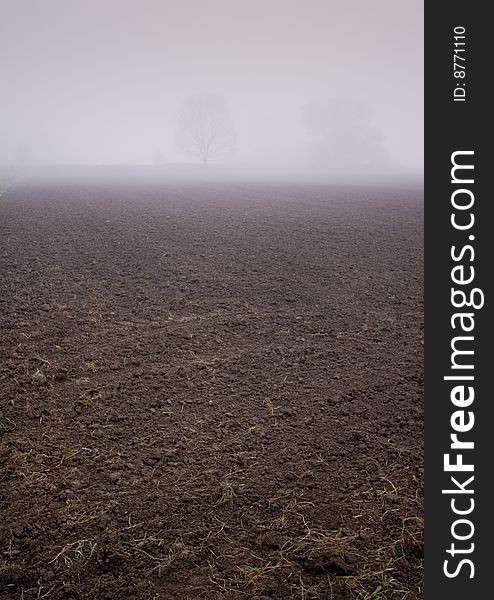 Foggy morning and non-urban scene in southern Poland