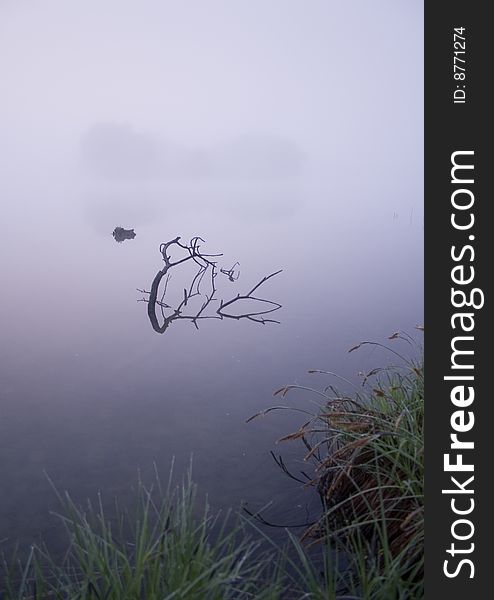 Foggy morning and non-urban scene in southern Poland