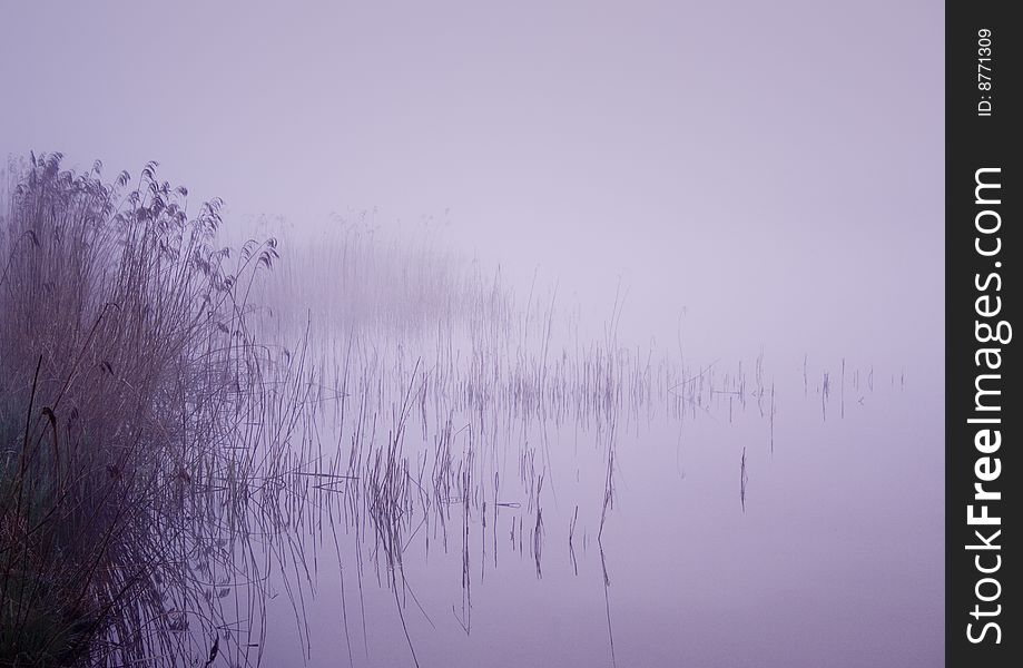 Foggy morning and non-urban scene in southern Poland