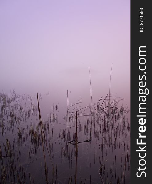 Foggy morning and non-urban scene in southern Poland