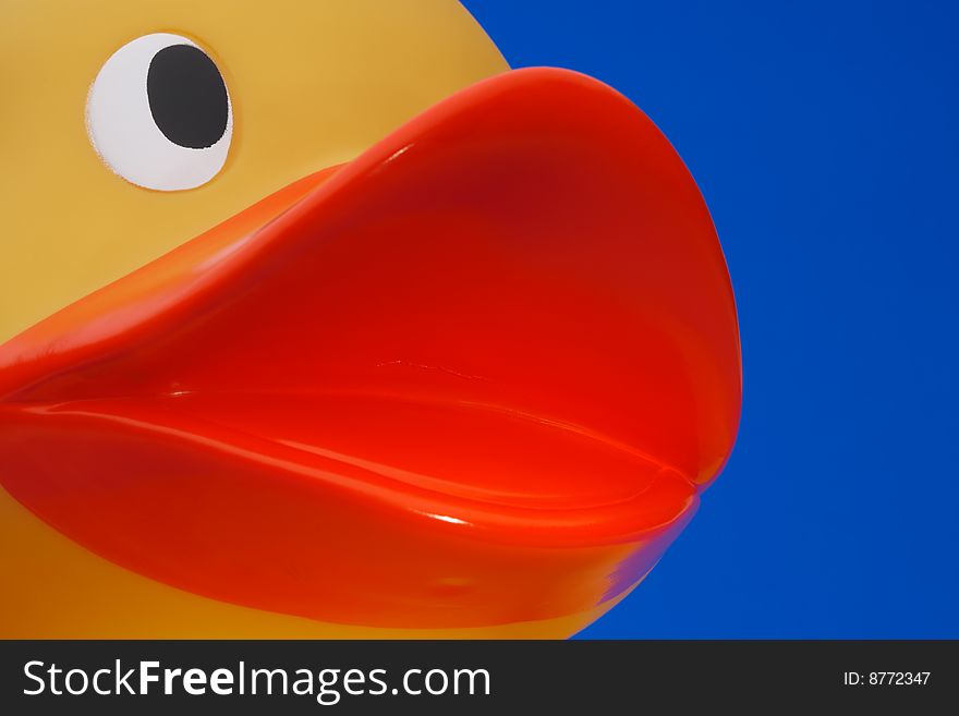 Close up of rubber duck on blue background. Close up of rubber duck on blue background