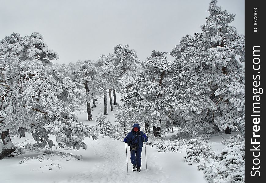 The pass of Navacerrada, Madrid, Spain