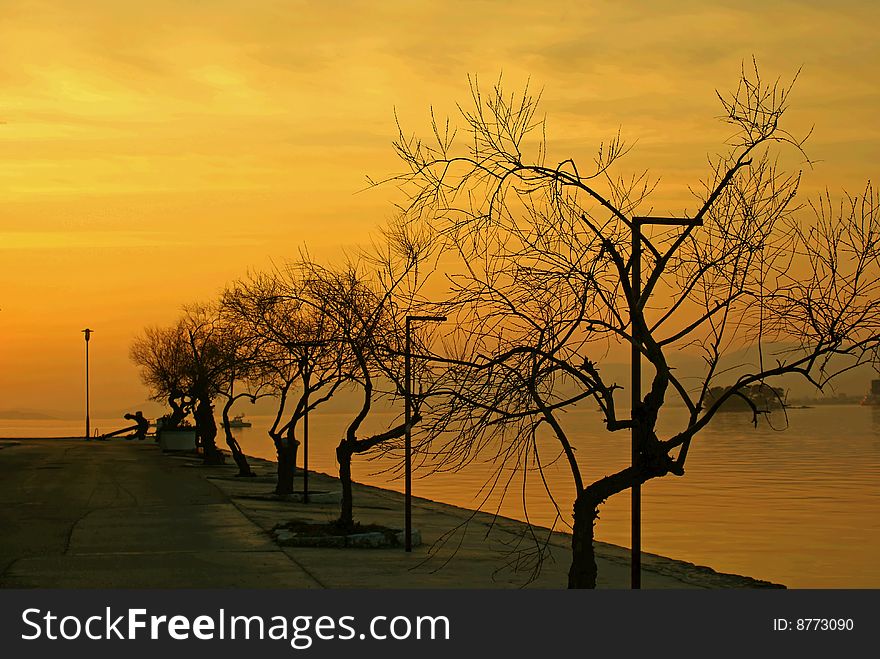 Leafless trees by the sea on autumn day.