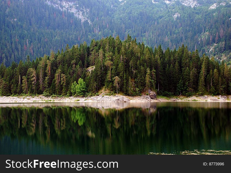 Lake and forest in Motnenegro