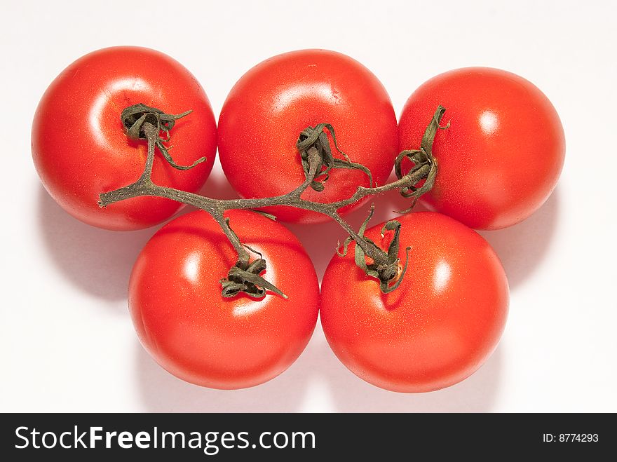 Five tomato on white background. Five tomato on white background
