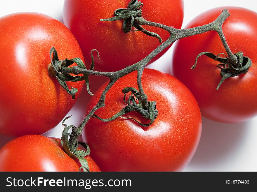 Five tomato on white background. Five tomato on white background