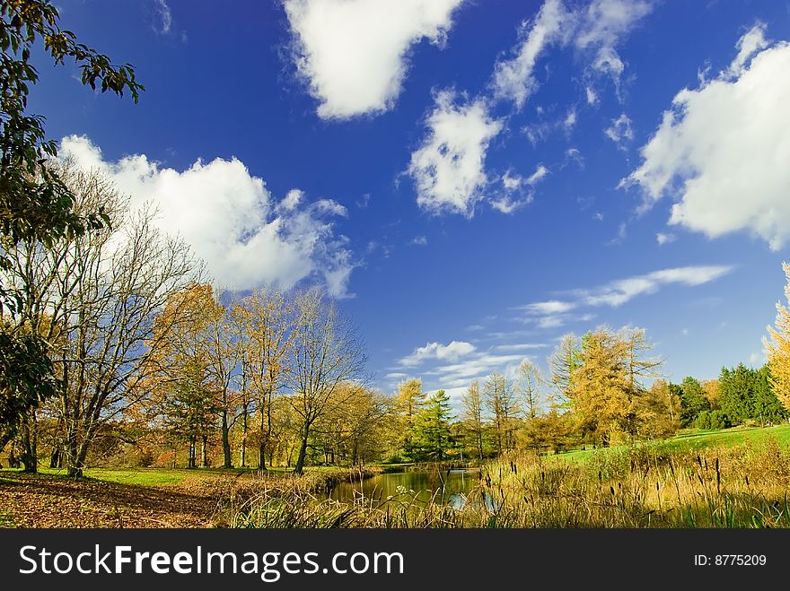 Park in Autumn late in the afternoon. Park in Autumn late in the afternoon