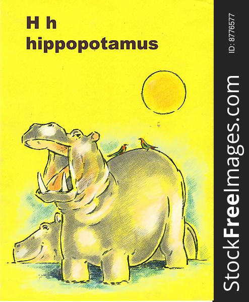 Illustrated alphabet for children h- hippopotamus