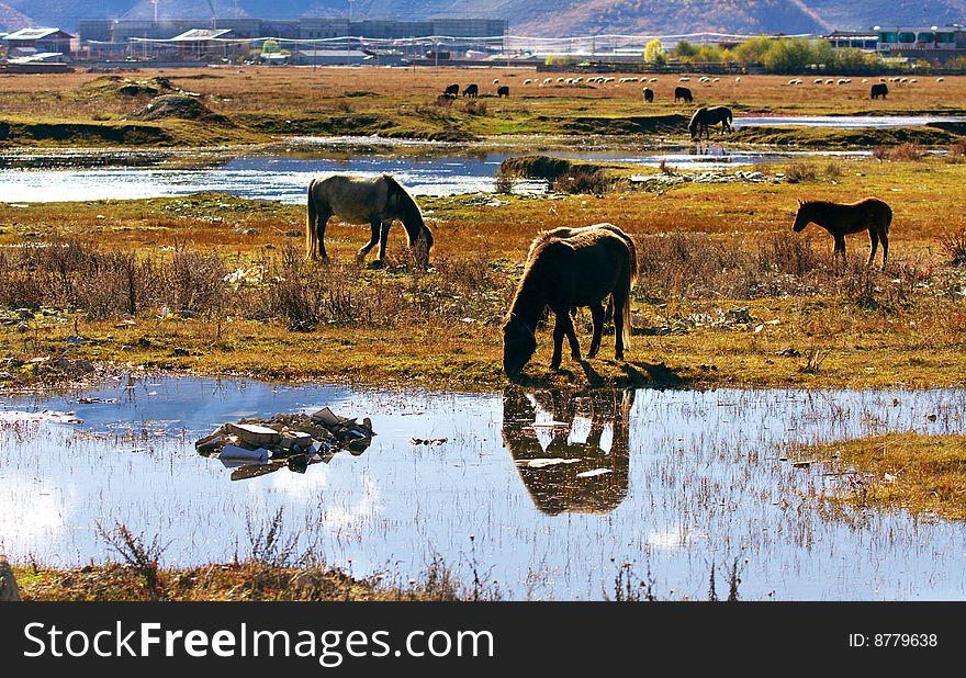 The landscape is very beautiful. The landscape is very beautiful