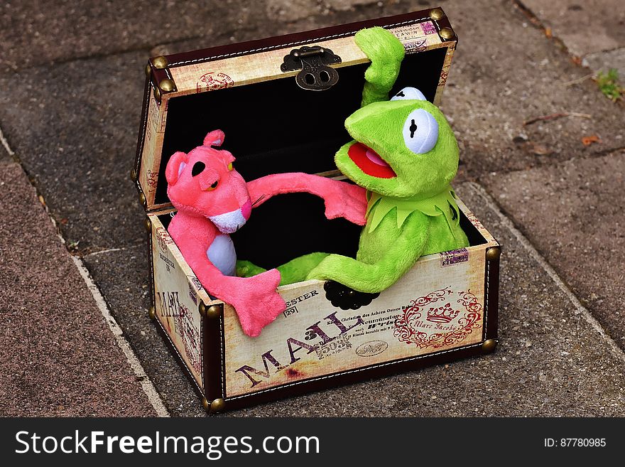 Pink Panther and Kermit the Frog