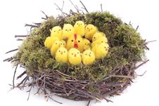 Easter Chicks In Nest Over White Stock Image