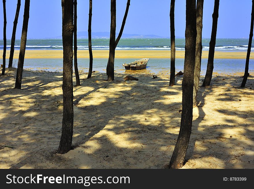 Tree and ship in seashore