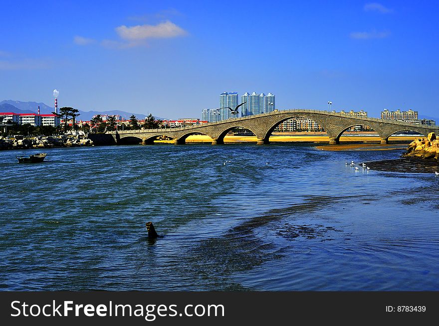 In China, has many newly built city seashore park