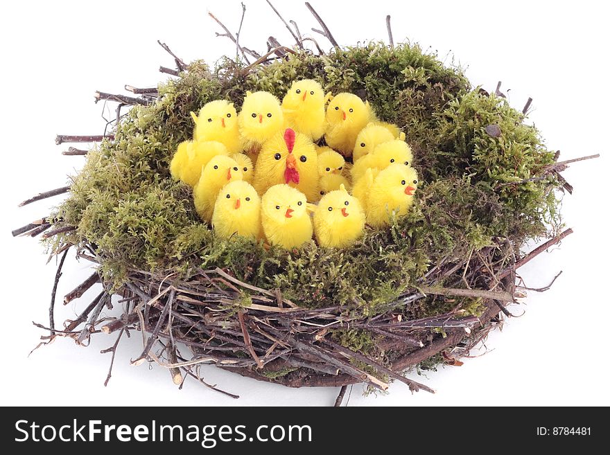 Easter Chicks In Nest Over White