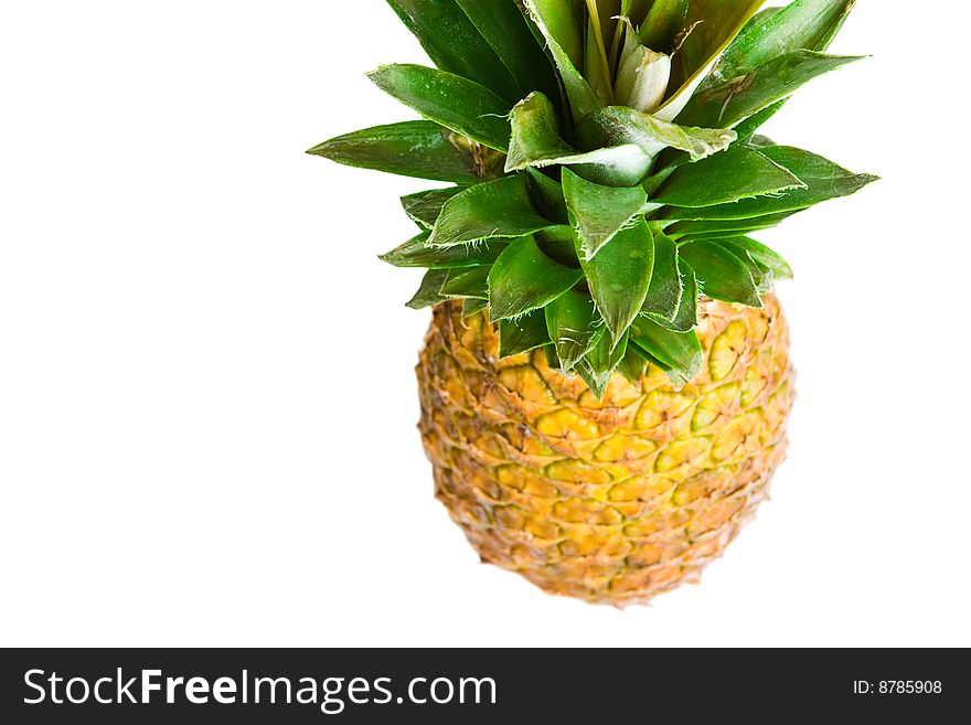 Pineapple studio isolated on white background