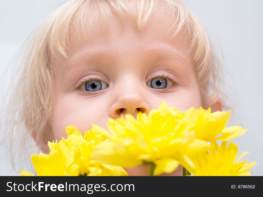 Little girl sniffing a bouquet of yellow chrysanthemums. Little girl sniffing a bouquet of yellow chrysanthemums