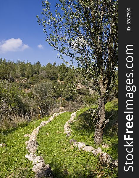 Track in the field marked with stones.