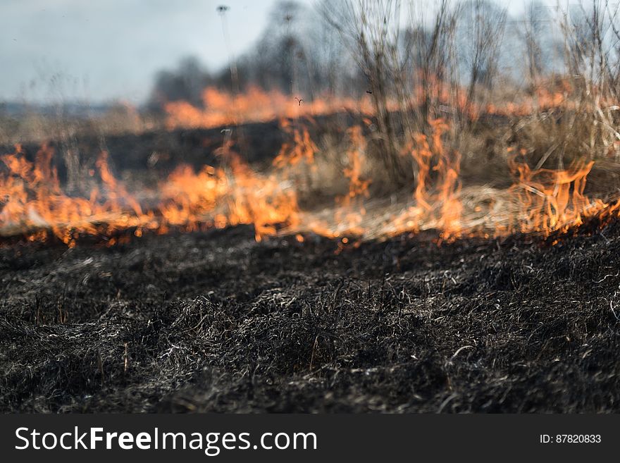 Early spring. Intentional burning of dry grass in the meadow. Wind fire spreads to neighboring areas. The damage to the environment. Ukraine. Early spring. Intentional burning of dry grass in the meadow. Wind fire spreads to neighboring areas. The damage to the environment. Ukraine.