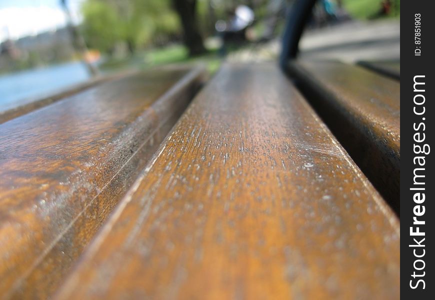 bench-in-the-park