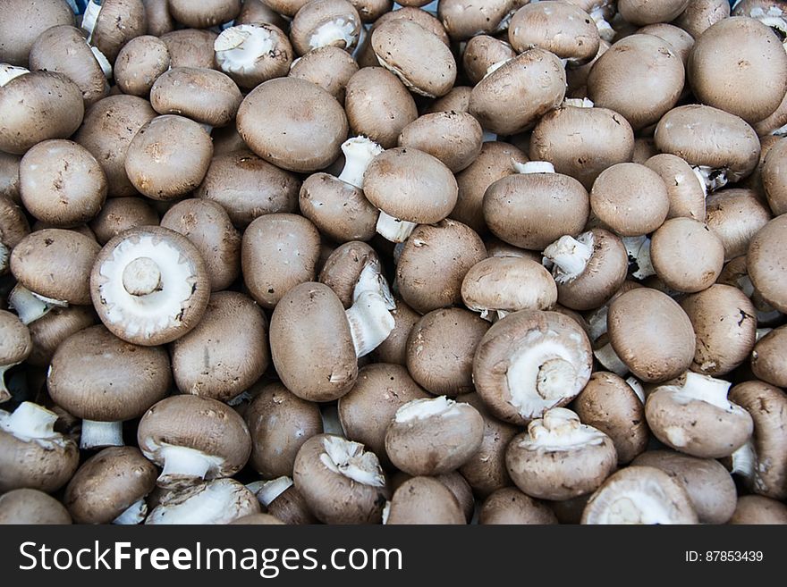 The most common commercially available mushroom, the button or champignon is cultivated in more than 70 countries. The most common commercially available mushroom, the button or champignon is cultivated in more than 70 countries.