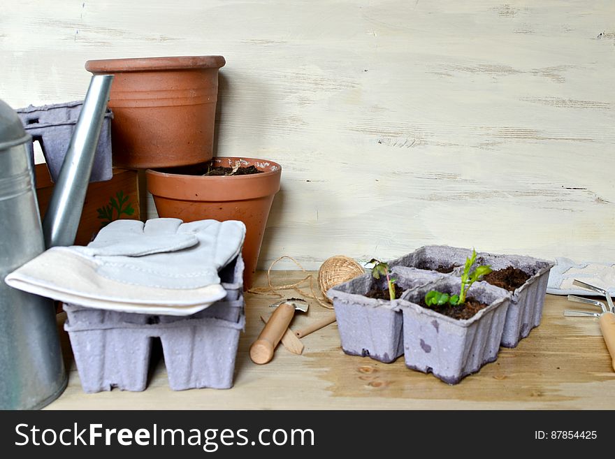 Freshly planted sprigs in paper containers filled with soil, gardening tools and accessories on a sunny day indoors. Freshly planted sprigs in paper containers filled with soil, gardening tools and accessories on a sunny day indoors