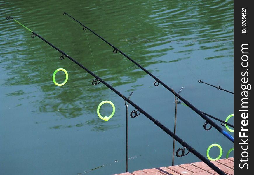 fishing-rods-on-lake
