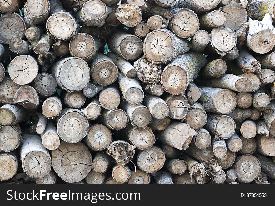 Chopped wood logs for winter heating. Chopped wood logs for winter heating