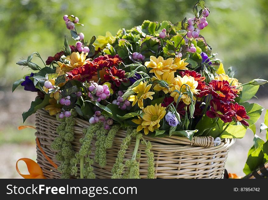 Beautiful summer floral arrangement in a wicker basket.