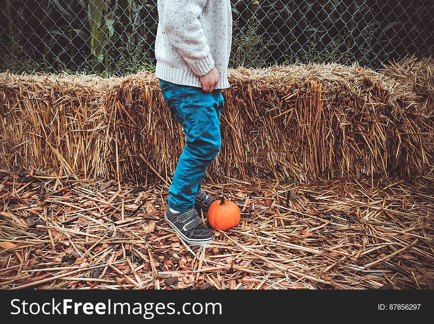 Boy (partial image) wearing white jumper, blue jeans and sneakers standing on straw threatening to kick a pumpkin, background of straw bales. Boy (partial image) wearing white jumper, blue jeans and sneakers standing on straw threatening to kick a pumpkin, background of straw bales.