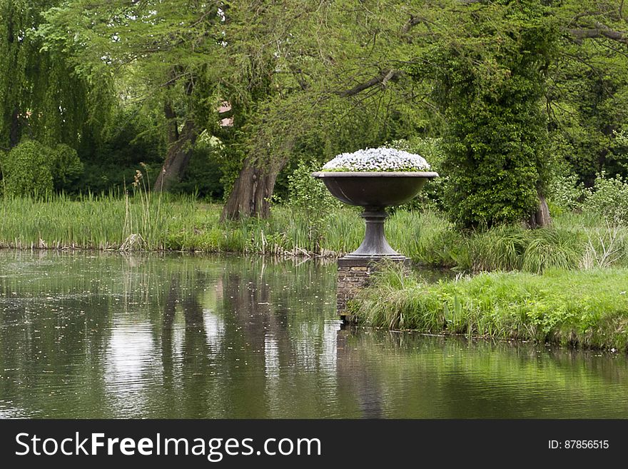 Ornamental Flower Pot By Lake