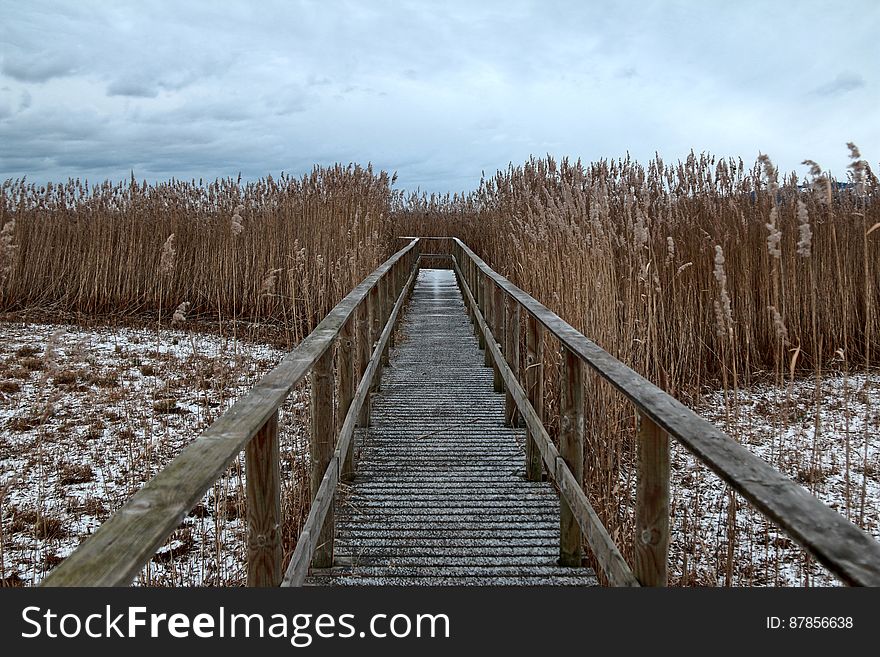 Boardwalk On Beach